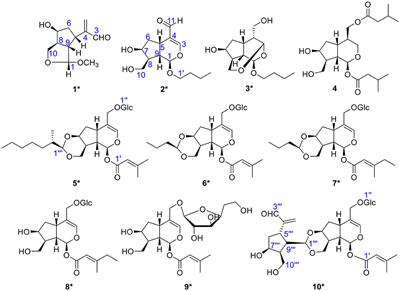 Nine Unique Iridoids and Iridoid Glycosides From Patrinia scabiosaefolia